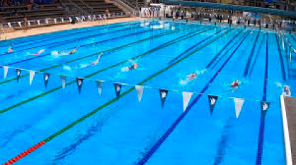NYAA: Swimming Activity